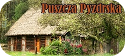 puszcza