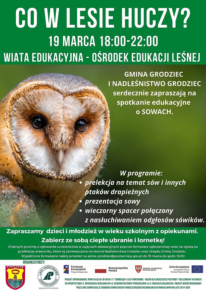 Plakat - Co w lesie huczy